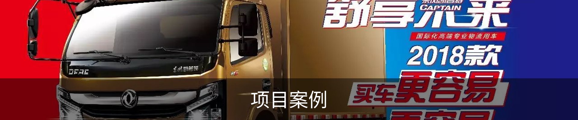 项目案例